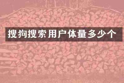 搜狗搜索用户体量多少个