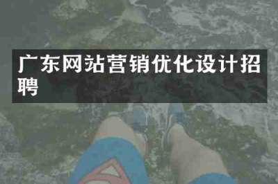 广东网站营销优化设计招聘
