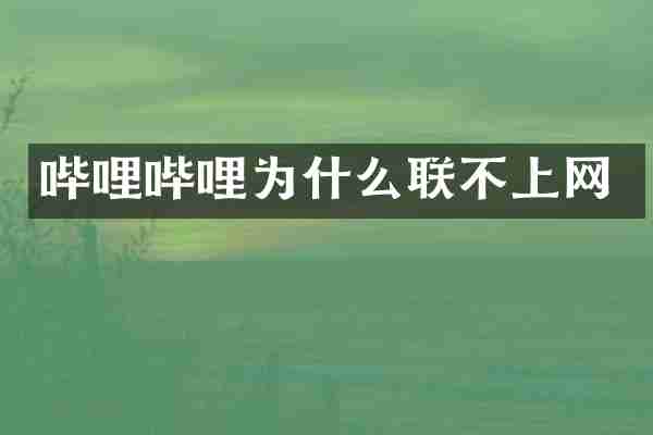 哔哩哔哩为什么联不上网