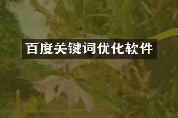 百度关键词优化软件