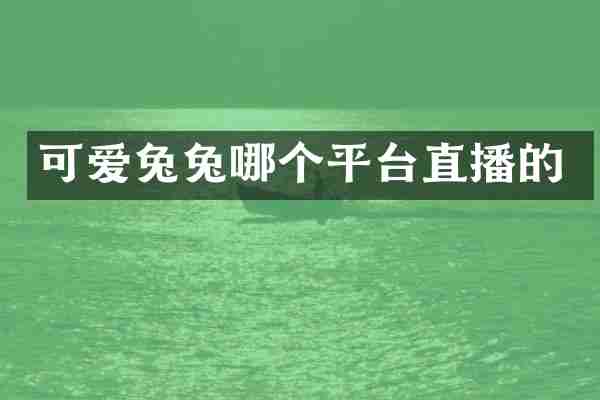 可爱兔兔哪个平台直播的