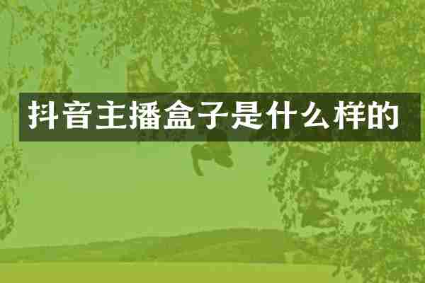 抖音主播盒子是什么样的