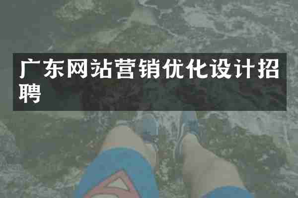 广东网站营销优化设计招聘