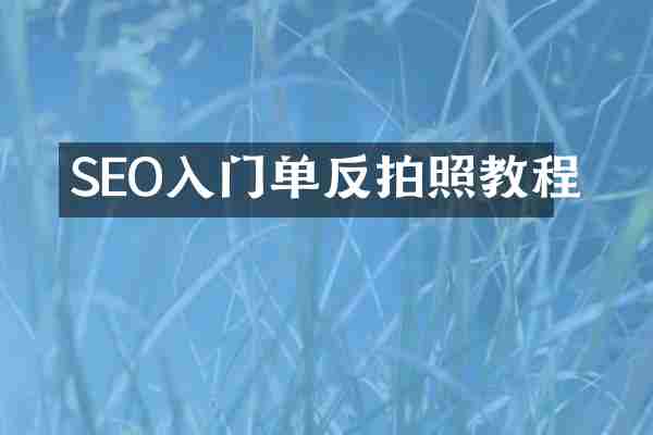 SEO入门单反拍照教程