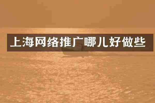 上海网络推广哪儿好做些