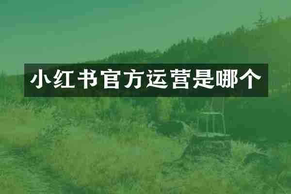 小红书官方运营是哪个