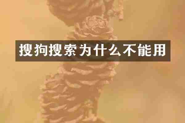 搜狗搜索为什么不能用
