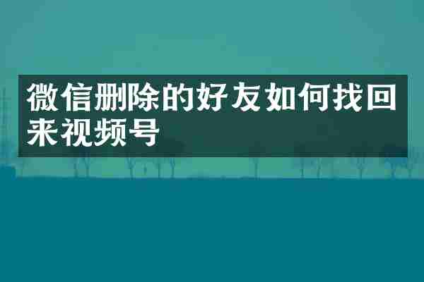 微信删除的好友如何找回来视频号