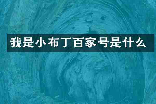 我是小布丁百家号是什么