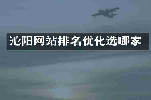 沁阳网站排名优化选哪家