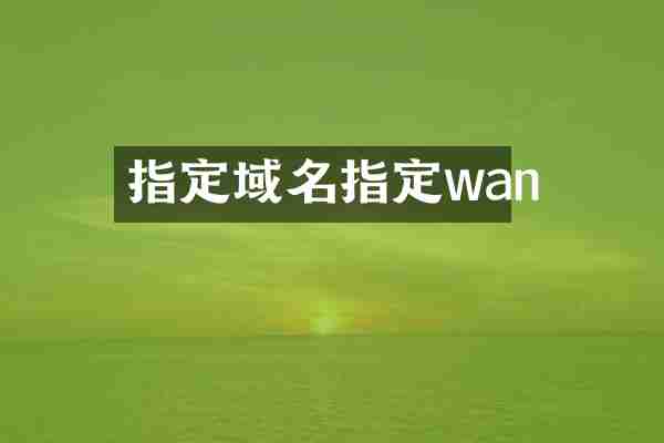 指定域名指定wan