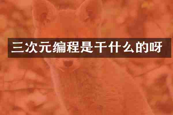 三次元编程是干什么的呀