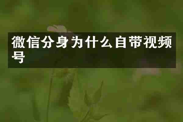 微信分身为什么自带视频号