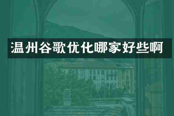 温州谷歌优化哪家好些啊