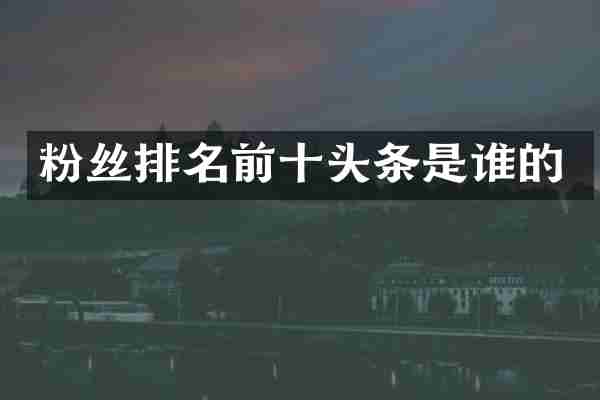 粉丝排名前十头条是谁的