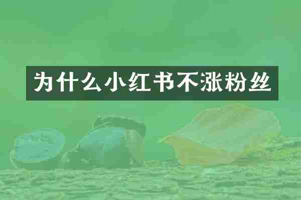 为什么小红书不涨粉丝