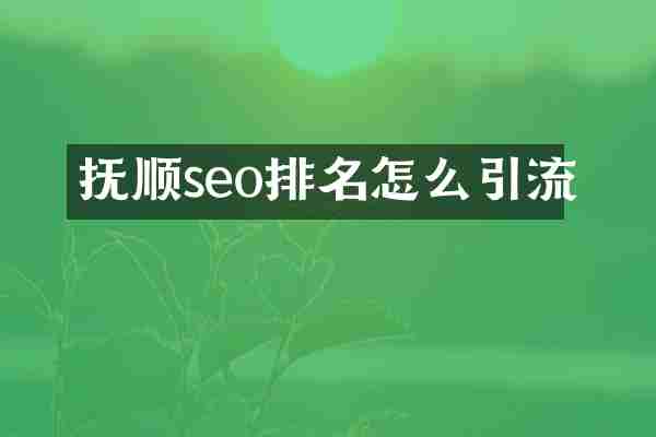 抚顺seo排名怎么引流