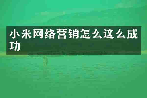 小米网络营销怎么这么成功
