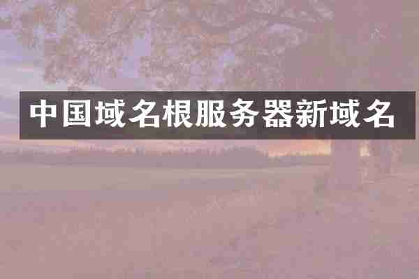 中国域名根服务器新域名