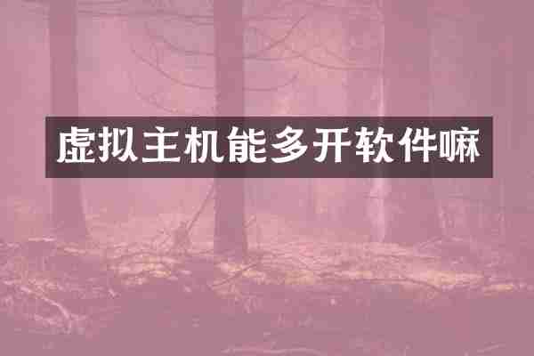 虚拟主机能多开软件嘛