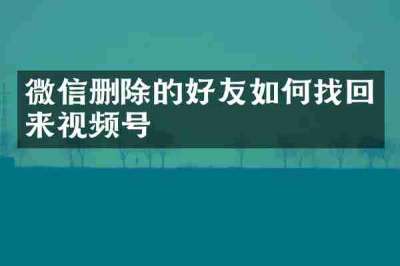微信删除的好友如何找回来视频号