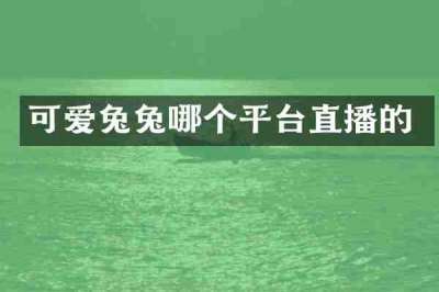 可爱兔兔哪个平台直播的