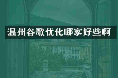 温州谷歌优化哪家好些啊