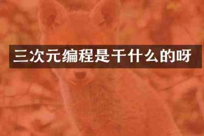 三次元编程是干什么的呀