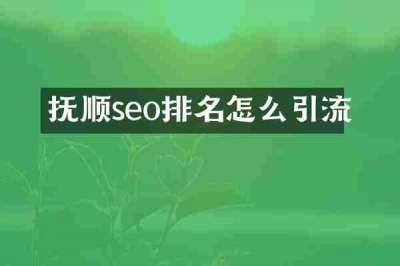 抚顺seo排名怎么引流