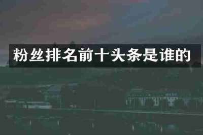 粉丝排名前十头条是谁的