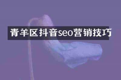 青羊区抖音seo营销技巧