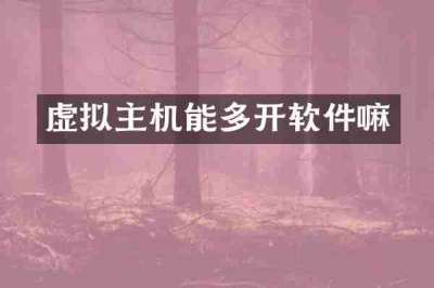 虚拟主机能多开软件嘛