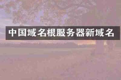 中国域名根服务器新域名