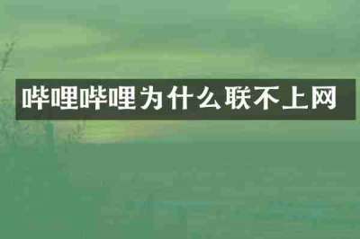 哔哩哔哩为什么联不上网