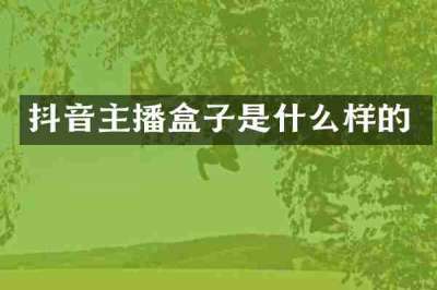 抖音主播盒子是什么样的