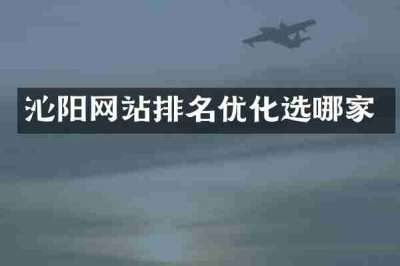 沁阳网站排名优化选哪家