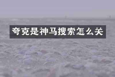 夸克是神马搜索怎么关