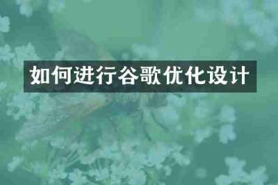如何进行谷歌优化设计