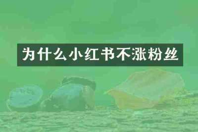 为什么小红书不涨粉丝