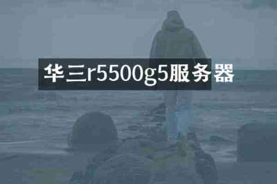 华三r5500g5服务器