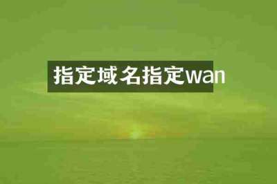 指定域名指定wan