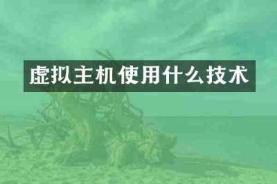 虚拟主机使用什么技术