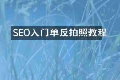 SEO入门单反拍照教程