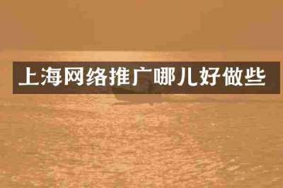 上海网络推广哪儿好做些