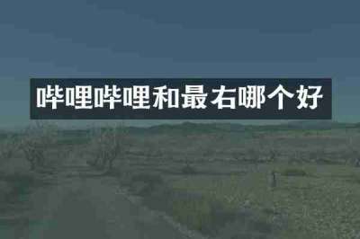 哔哩哔哩和最右哪个好