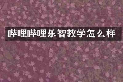 哔哩哔哩乐智教学怎么样