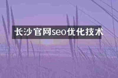 长沙官网seo优化技术