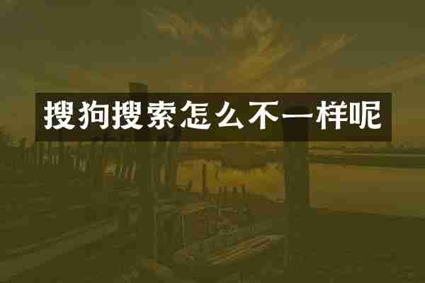 搜狗搜索怎么不一样呢