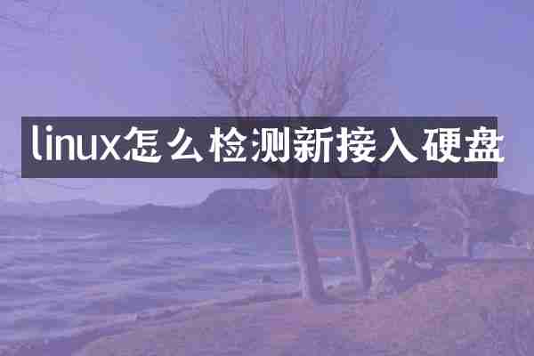 linux怎么检测新接入硬盘