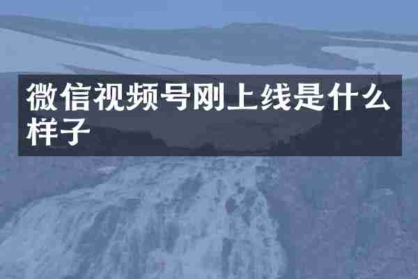 微信视频号刚上线是什么样子